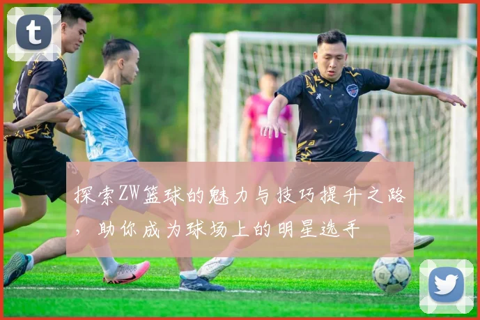 探索ZW篮球的魅力与技巧提升之路，助你成为球场上的明星选手